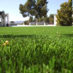 Albergrass revoluciona el césped artificial con su nuevalínea de aspecto natural y alta calidad