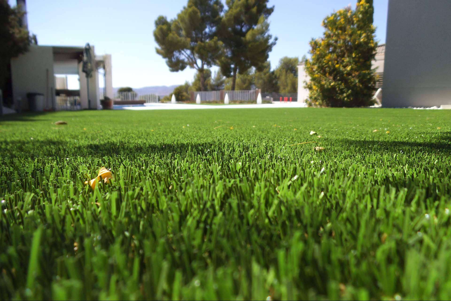 Albergrass revoluciona el césped artificial con su nuevalínea de aspecto natural y alta calidad Albergrass revoluciona el césped artificial con su nuevalínea de aspecto natural y alta calidad