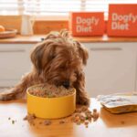 Nutrición canina de calidad; Dogfy Diet ofrece dietas frescas a domicilio
