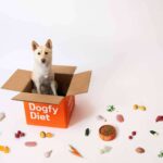 Dogfy Diet revoluciona la alimentación canina con comida natural personalizada