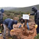 CO2 Gestión, FOXY y la Fundación Alcoraz inauguran en Salamanca la plantación de su 11º bosque