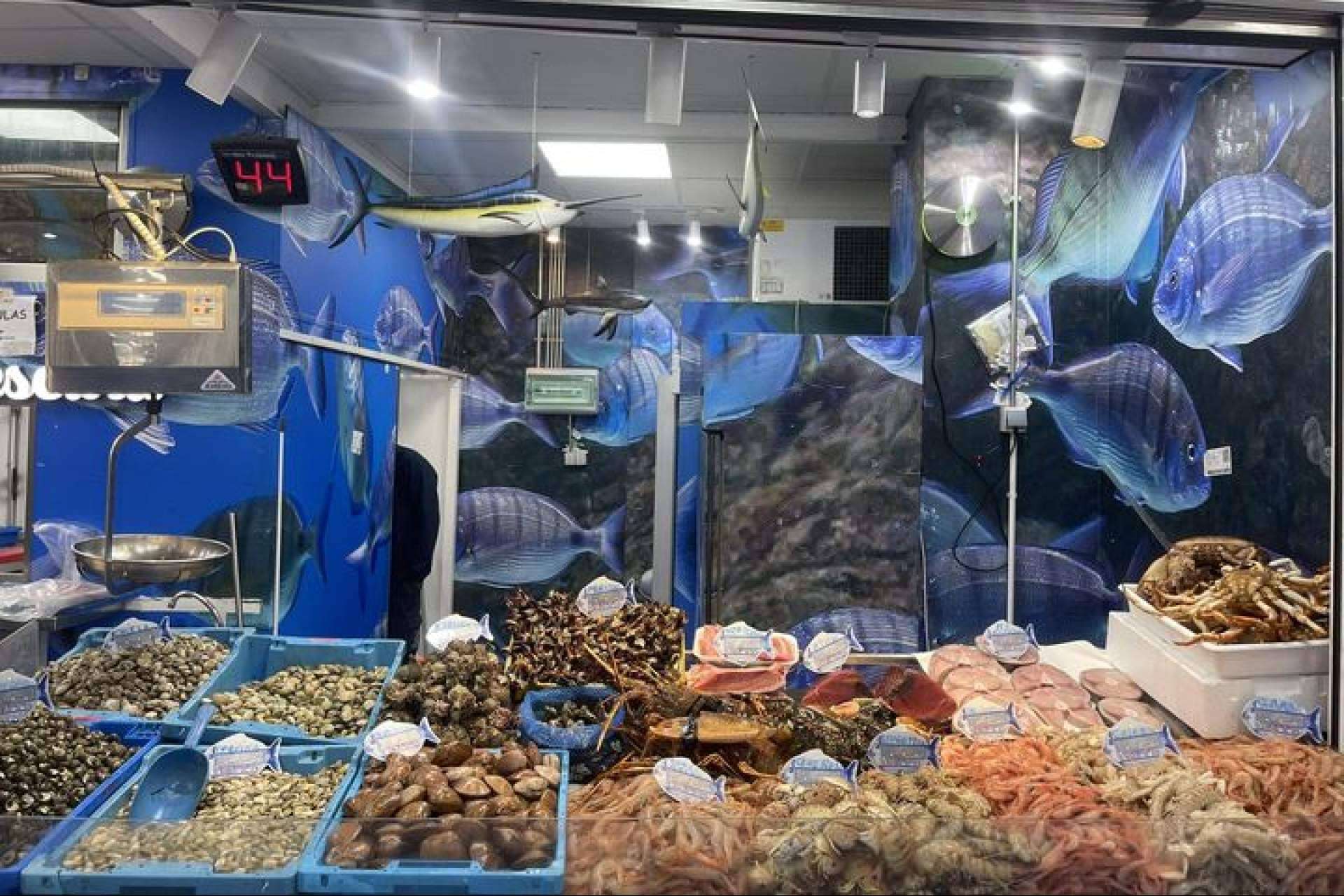 Pescadería Younes Ceuta, tradición y frescura en el Mercado Central con un servicio innovador Pescadería Younes Ceuta, tradición y frescura en el Mercado Central con un servicio innovador