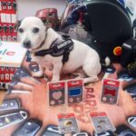Barnacopy ofrece placas personalizadas para mascotas al instante en Barcelona