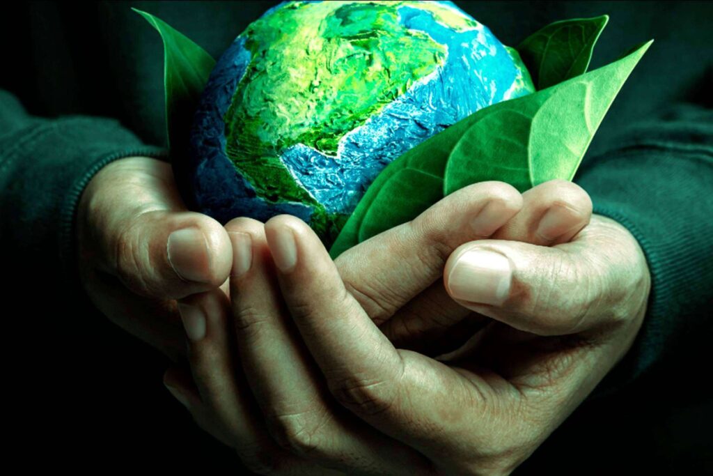 Garantías de Origen, una oportunidad clave para empresas que buscan energía verde