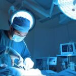 GestorVet; Cumple con la Normativa y Optimiza el Centro Veterinario