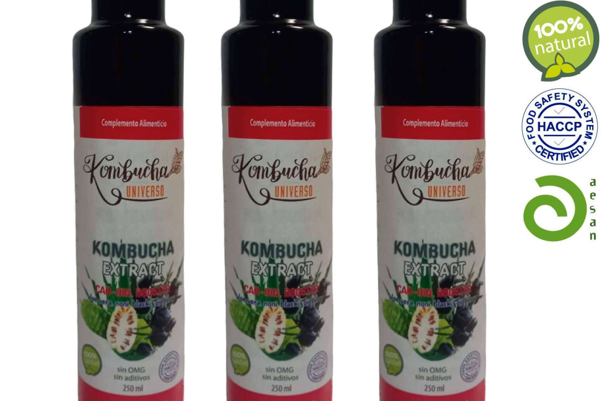 Recuperación natural y salud, Kombucha Universo impulsa el bienestar con su kombucha artesanal Recuperación natural y salud, Kombucha Universo impulsa el bienestar con su kombucha artesanal