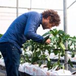 Entrevista a Francisco Martín, director técnico de Nostoc Biotech; El futuro de la agricultura con biofertilizantes