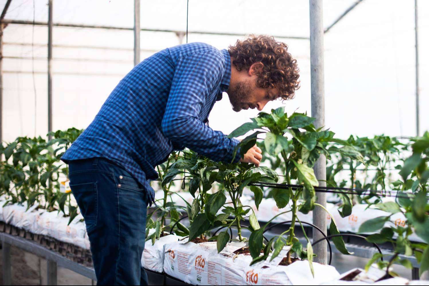 Entrevista a Francisco Martín, director técnico de Nostoc Biotech; El futuro de la agricultura con biofertilizantes Entrevista a Francisco Martín, director técnico de Nostoc Biotech; El futuro de la agricultura con biofertilizantes