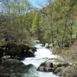 El Grupo Esquirol presenta la primavera en la Cerdanya: naturaleza, aventura y gastronomía El Grupo Esquirol presenta la primavera en la Cerdanya: naturaleza, aventura y gastronomía