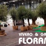 Viveros Florama: Revoluciona la decoración con su innovador servicio de alquiler de plantas