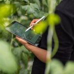 Atos y Venator implementan con éxito la plataforma de Huella de Carbono de Producto de Eviden Atos y Venator implementan con éxito la plataforma de Huella de Carbono de Producto de Eviden