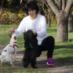 Consejos para que perros y gatos disfruten de la primavera según Herbolario para animales Consejos para que perros y gatos disfruten de la primavera según Herbolario para animales