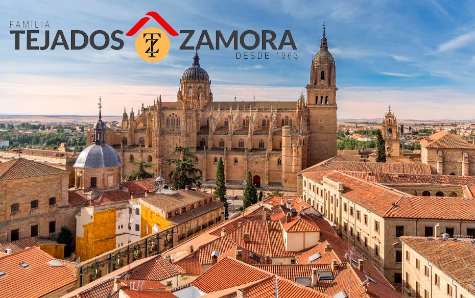 Reparación de Tejados y Cubiertas: soluciones eficaces y económicas en Salamanca, Zamora y alrededores