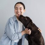 La importancia de elegir un buen hotel para mascotas en Madrid