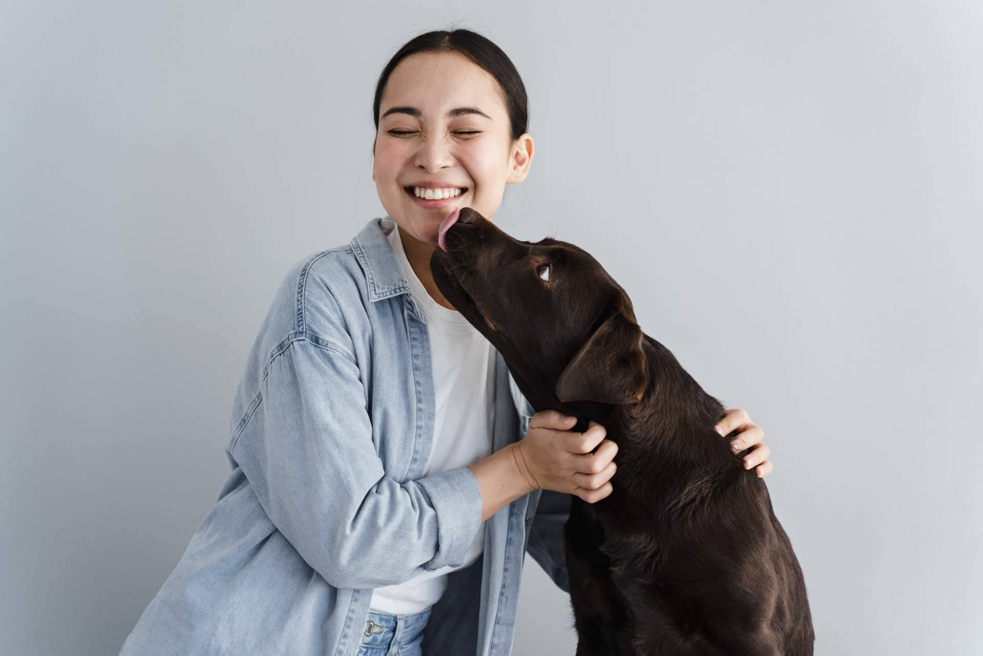 La importancia de elegir un buen hotel para mascotas en Madrid La importancia de elegir un buen hotel para mascotas en Madrid