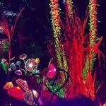 Descubrir Ibiza de forma diferente; Bibo Park, un imprescindible para los amantes de la ciencia y la biodiversidad
