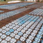 La empresa española que revoluciona la construcción en España