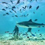 Drop Dive Maldives, una escuela de buceo de referencia en Maldivas