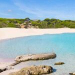 Mallorca Transfer Pellicer; La experiencia de traslado privado definitiva en Semana Santa
