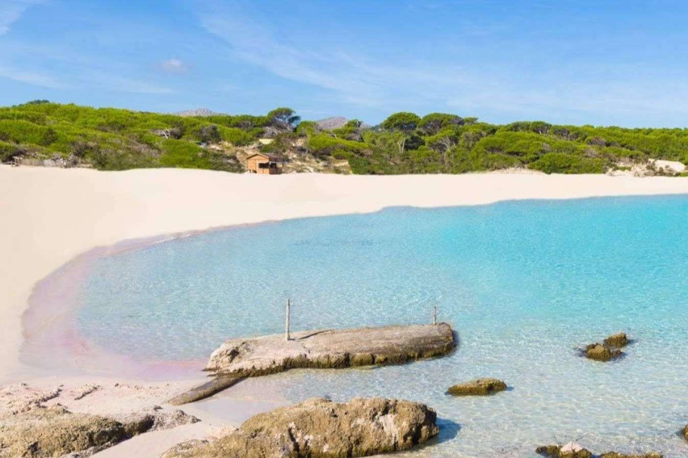 Mallorca Transfer Pellicer; La experiencia de traslado privado definitiva en Semana Santa Mallorca Transfer Pellicer; La experiencia de traslado privado definitiva en Semana Santa