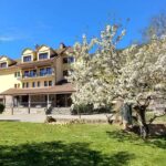 Actividades para realizar en Hotel Cotiella