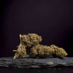 Botika CBD; La alternativa natural que está transformando el bienestar en Bizkaia