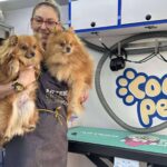 COOL PETS; La solución definitiva para el aseo e higiene de la mascota