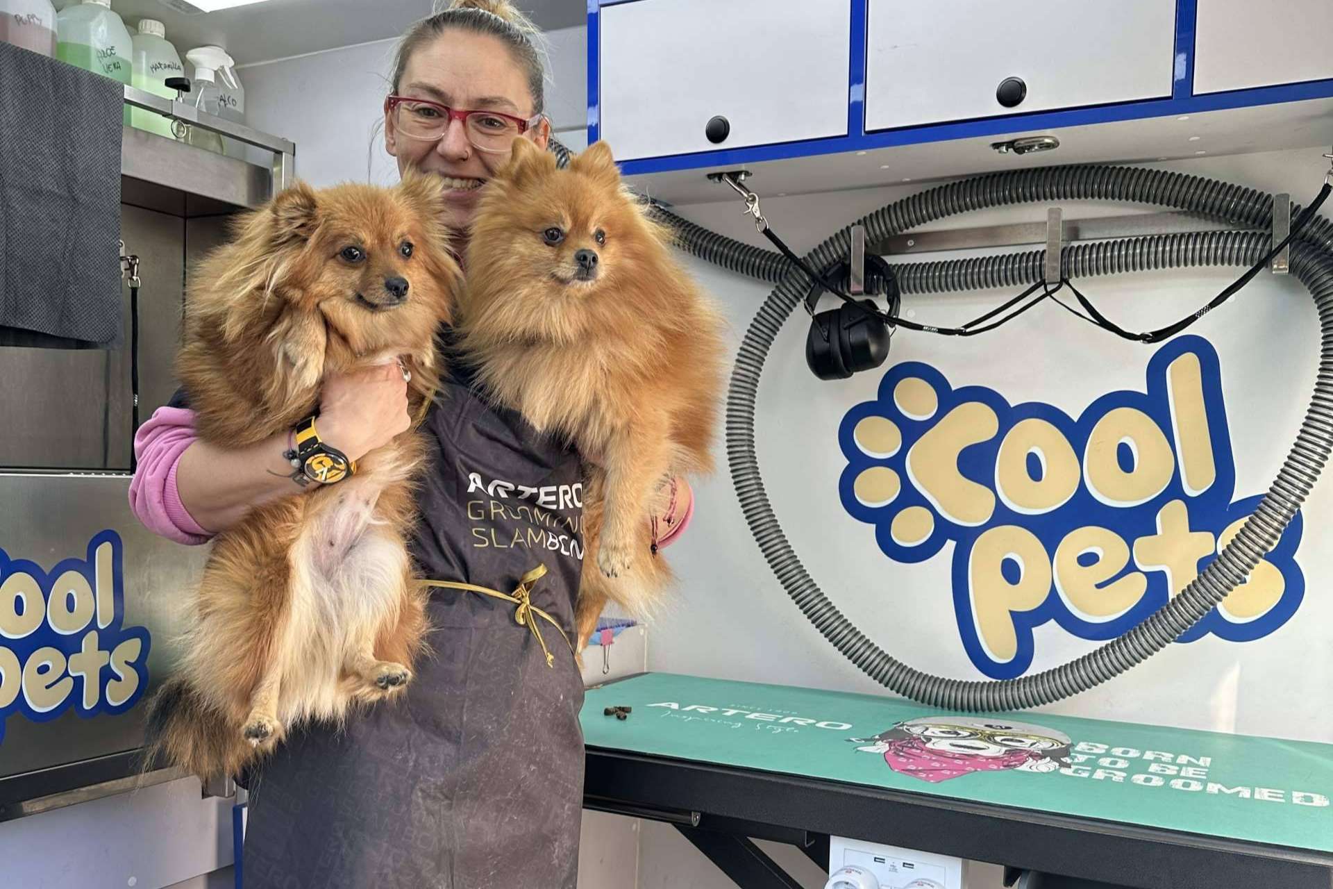 COOL PETS; La solución definitiva para el aseo e higiene de la mascota COOL PETS; La solución definitiva para el aseo e higiene de la mascota