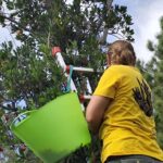 Más de 150 personas participan en el primer webinar del proyecto Plantas Olvidadas