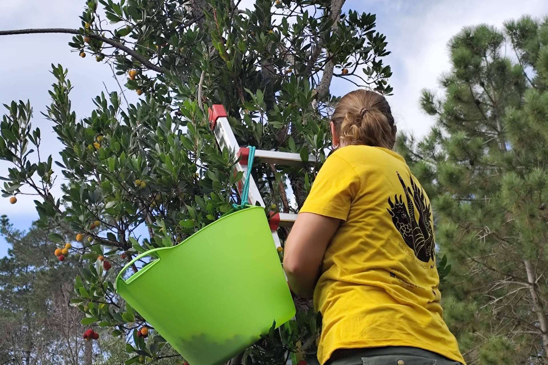 Más de 150 personas participan en el primer webinar del proyecto Plantas Olvidadas Más de 150 personas participan en el primer webinar del proyecto Plantas Olvidadas