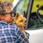 Cómo viajar con mascotas en autocaravana; Consejos para una ruta segura y sin estrés