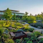 Cuidado y belleza todo el año; La importancia del mantenimiento de jardines en diferentes espacios