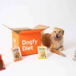 Dogfy Diet ofrece planes de alimentación personalizados para perros, mejorando su salud y bienestar