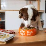 Dogfy Diet revoluciona la alimentación canina con comida natural a domicilio