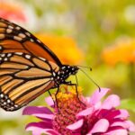 El futuro del medioambiente pasa por la información, la visión del CEO de ECOticias.com Jordi Company