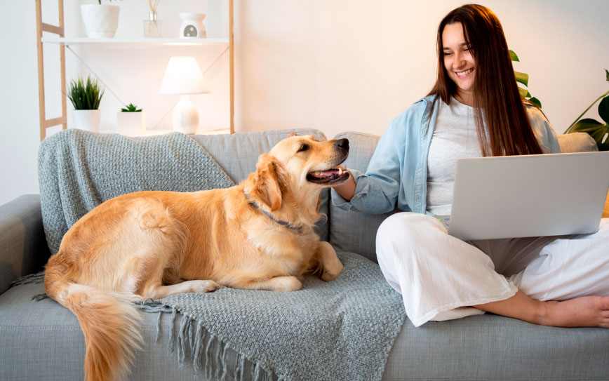 Las claves para tener un hogar limpio y saludable con mascotas