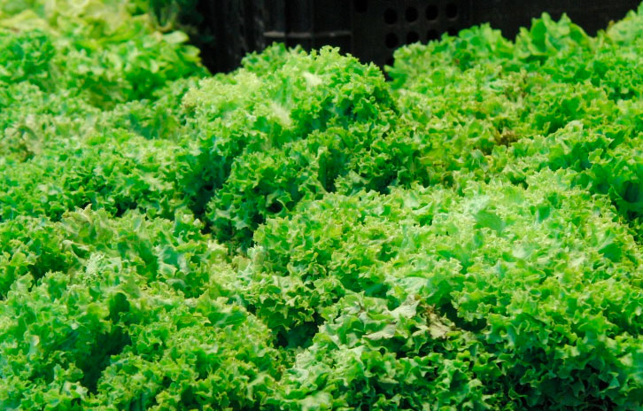 Ensalada multivitaminas, muy rica y diferente a las de lechuga y tomate