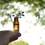 Formarse en Naturopatía, con Fortalecimiento Vital