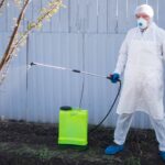 Plagas más comunes en primavera, Almuplaza DDD intensifica su labor como empresa de control de plagas en Madrid