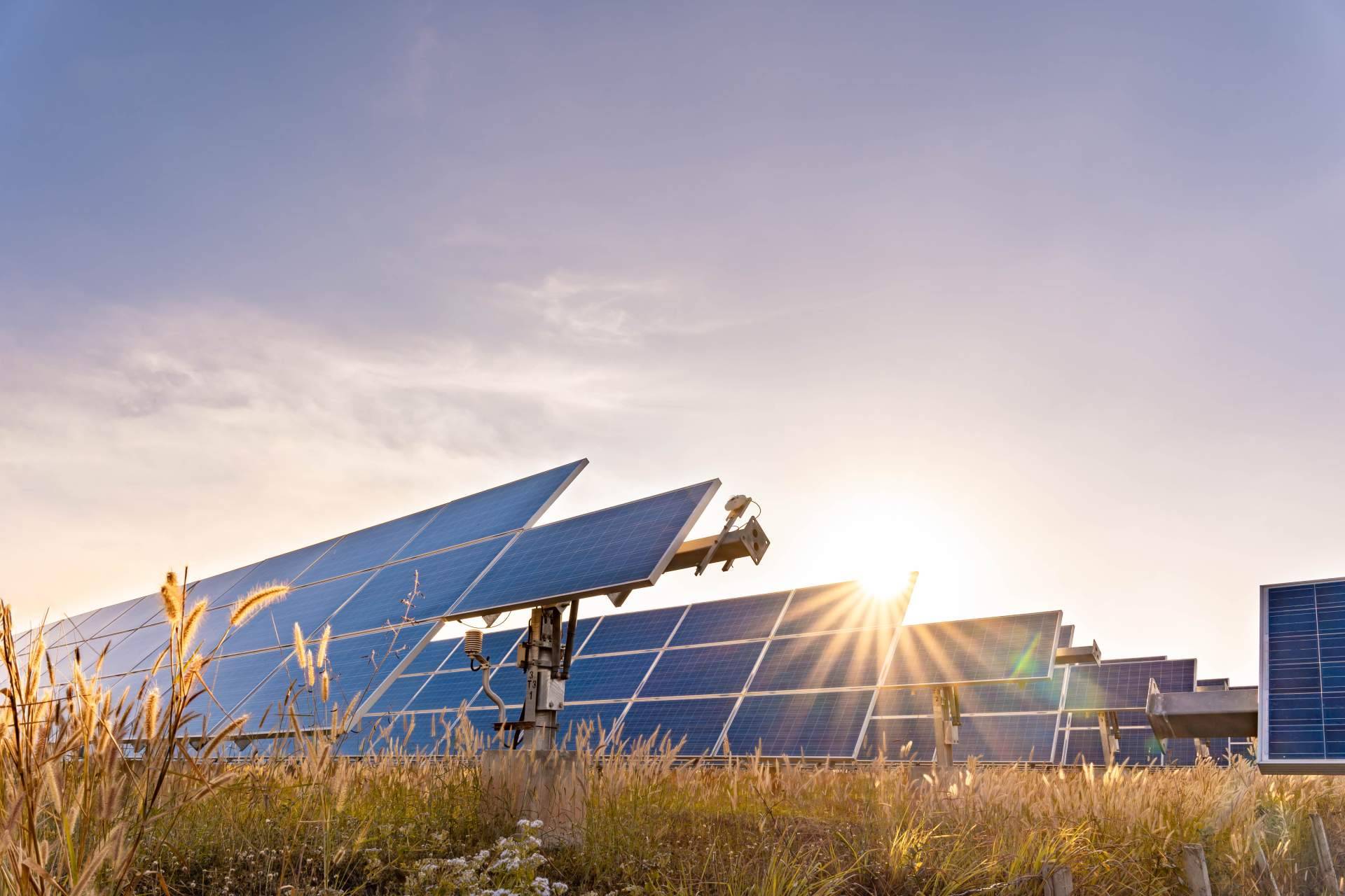VPS España refuerza la seguridad en parques solares con tecnología autónoma e innovadora