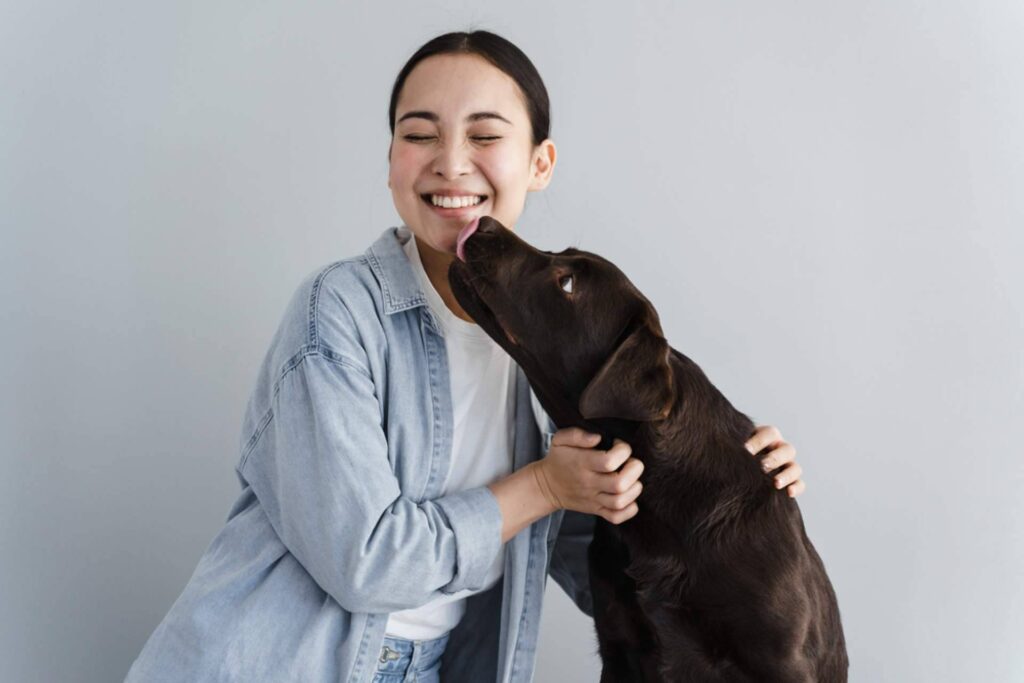 Las residencias de animales, la mejor opción para el bienestar de las mascotas cuando sus dueños viajan 