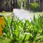JM Tus Compras de Confianza permite acceso a precios de coste en productos de exterior