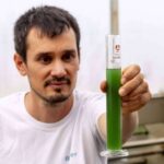 Usos y beneficios de la espirulina, por Blauver Foods