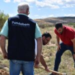 Las empresas confían en CO2 Gestión para desarrollar proyectos de reforestación corporativa