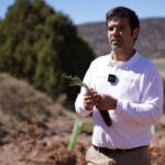 CO2 GESTIÓN facilita a las organizaciones la obtención del triple sello del MITERD