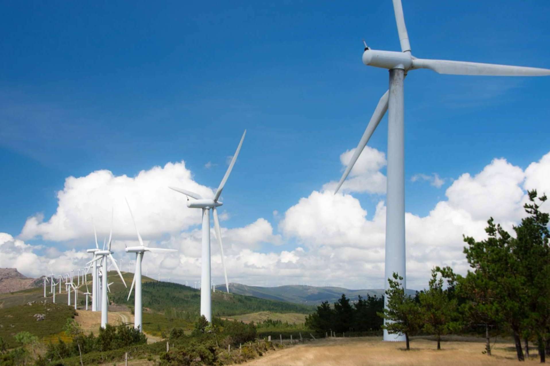 El crecimiento de la eólica sitúa a Aragón a la cabeza del mapa energético sostenible El crecimiento de la eólica sitúa a Aragón a la cabeza del mapa energético sostenible