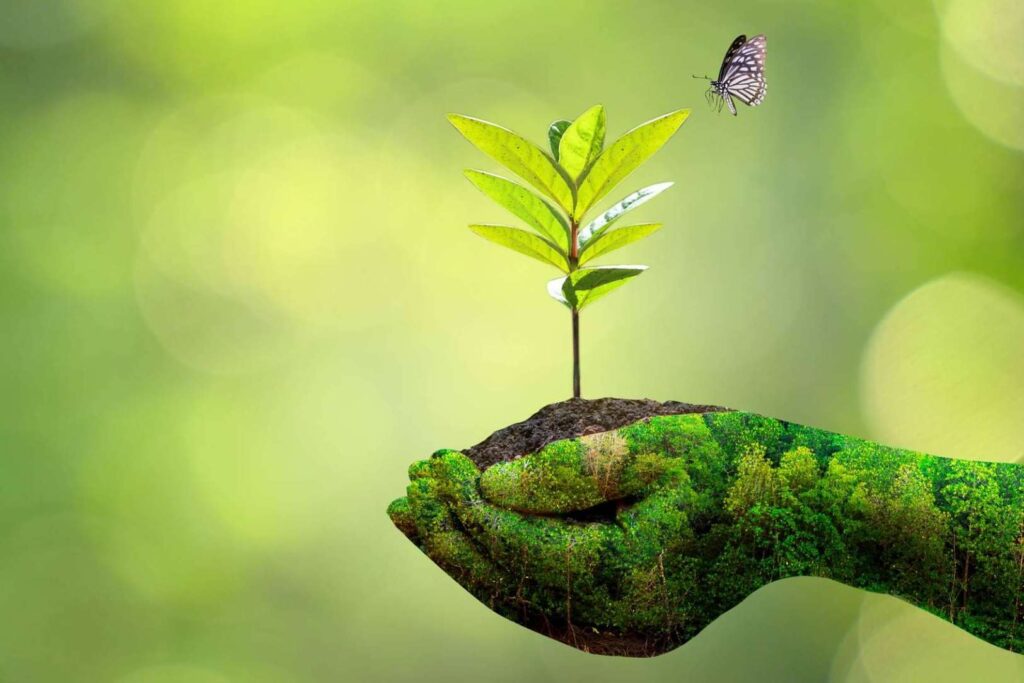 ECOticias.com alcanza millones de lectores mensuales en castellano e inglés con contenidos sobre medioambiente