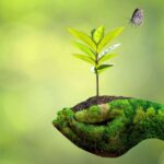 ECOticias.com alcanza millones de lectores mensuales en castellano e inglés con contenidos sobre medioambiente