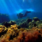 Canarias.com amplía su propuesta de excursiones Tenerife con experiencias adaptadas a todos los perfiles