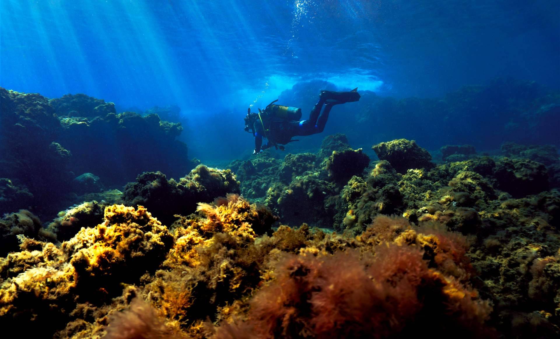 Canarias.com amplía su propuesta de excursiones Tenerife con experiencias adaptadas a todos los perfiles Canarias.com amplía su propuesta de excursiones Tenerife con experiencias adaptadas a todos los perfiles